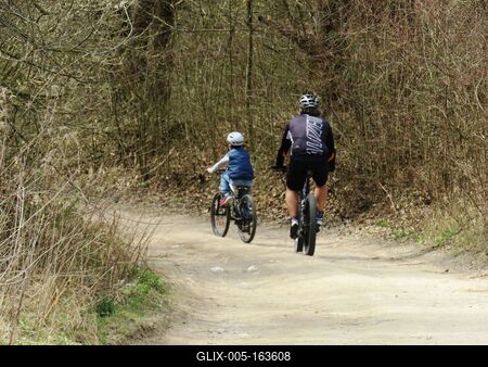Spring in Nagykovácsi Forest-stock-foto