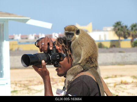 Cape Verde - African Photographer with Monkey-stock-foto