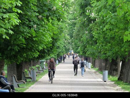 Cluj-Napoca (Kolozsvár), 9 May 2017The promenade of the Central Park (Parcul Central), chestnut trees.A Központi Park (Parcul Central) sétánya, gesztenyefák.-stock-foto