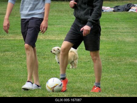 Relaxation on margaret Island-stock-foto
