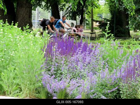 Pentecostal atmosphere on Margaret Island-stock-foto