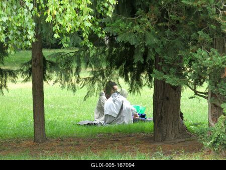 Piknik on Margaret Island-stock-foto