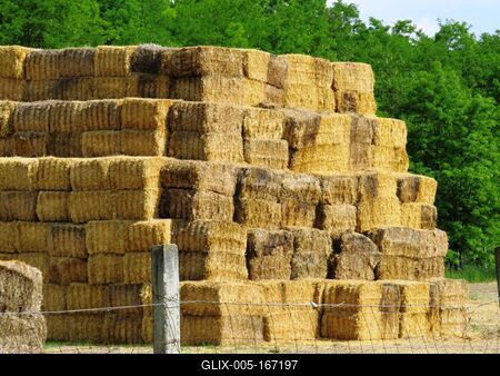 Straw bales - Hungary - Agroculture-stock-foto