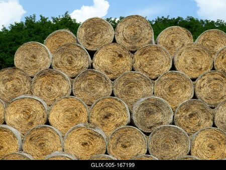 Straw bales - Agriculture - Hungary-stock-foto
