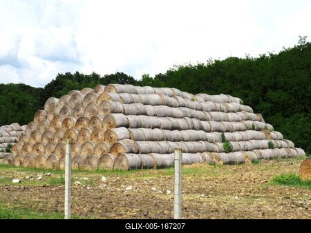 Straw bales -.Agriculture - Hungary-stock-foto