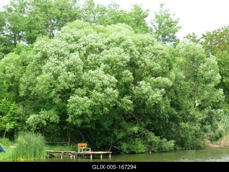 Lake - Diósjenő - Hungary-stock-foto