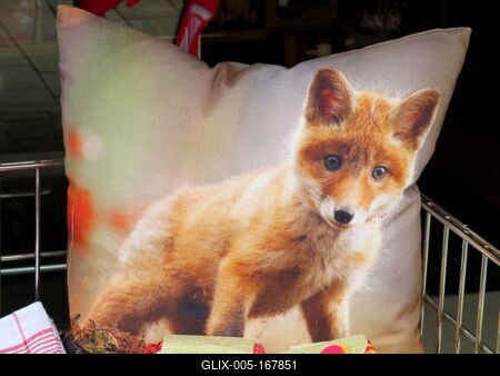 Pillow with Fox - Austria-stock-foto