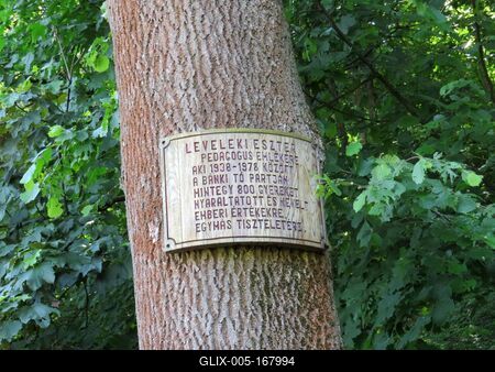 Bánk, 13 May 2018Plaque at the Memory of Educator, Eszter Leveleki on a bole at the Lake of Bánk (Northern Hungary).Emléktábla Leveleki Esztere pedagógus tiszteletére a Bánki-tó partjának egyik fatörzsén.-stock-foto