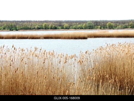 Pátka - Reservoir - Fishing lake - Hungary-stock-foto
