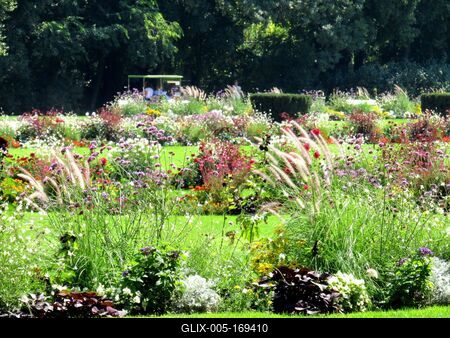 Summer in Margaret Island - Flower Orgy-stock-foto