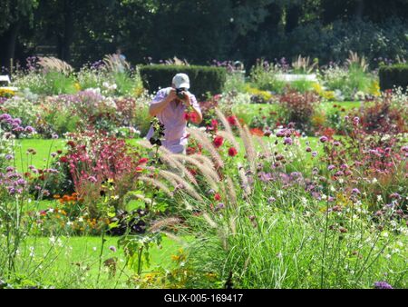 Man photographing flowers - Budapest-stock-foto
