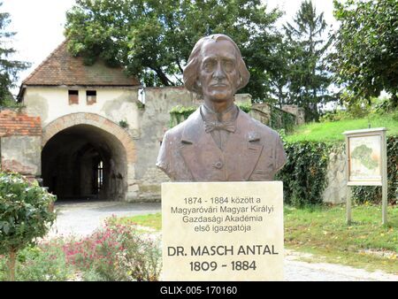Bust of Masch Antal - Mosonmagyaróvár - Economics-stock-foto