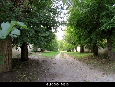 Diirt road  in Lébény - Hungary - Nature-stock-foto