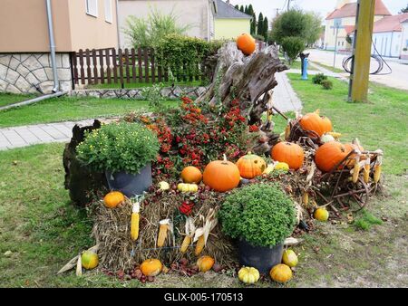 Street decoration with pupkin and corn - Hungary - Halloween-stock-foto