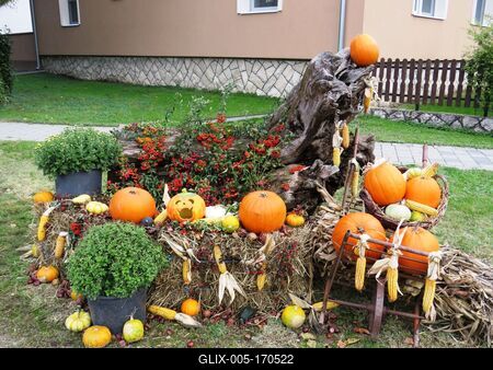 Halloween - Street decoration - Hungary-stock-foto