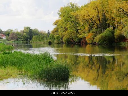 Nature - Duna Branch at Mecsér - Hungary-stock-foto