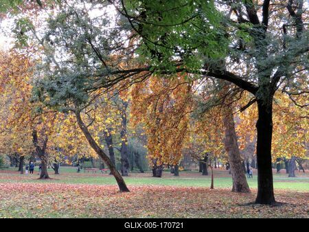 Autumn in the City Park - Budapest - Nature-stock-foto