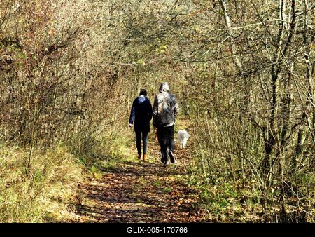 Colors of Nature - Walking in the Forest - Autumn-stock-foto