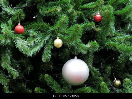 Christmas tree decoration - Pine - Budapest-stock-foto