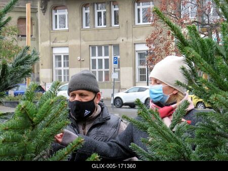 Christmas pine tree fair in Coroinavirus mask - Budapest-stock-foto