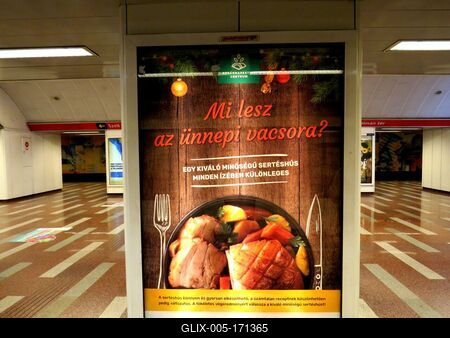 What will be the Christmas dinner? - Advertising  poster-stock-foto