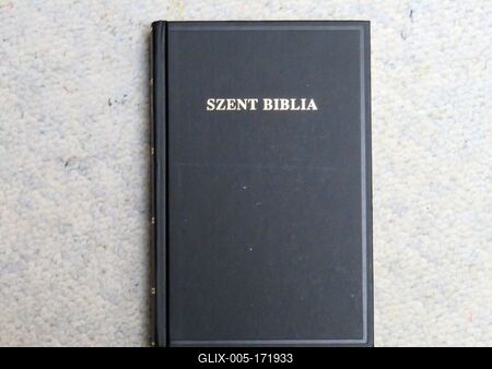 Holy Bible - Book - Hungarian edition-stock-foto