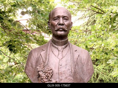 Bust of hungarian agrarian scientist Mathiász János-stock-foto
