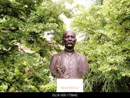 Bust of agriculture Scientist Mathiász János - Budapest-stock-foto