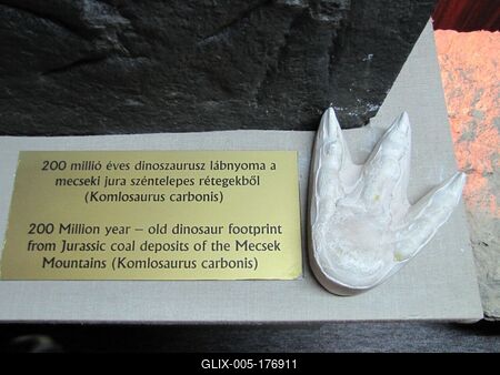 200 million year old Dinosaur footprint - Ipolytarnóc - Nature-stock-foto