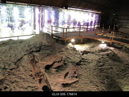 Prehistoric animals footprints and Water waves - Ipolytarnóc - Nature-stock-foto