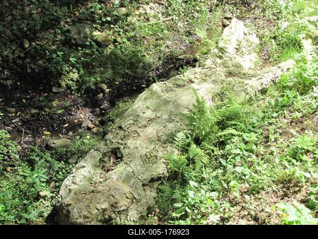 20 million year old petrified tree trunk - Ipolytarnóc - Nature-stock-foto