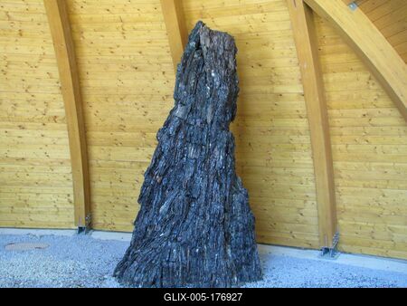 Nature wonder - 7 million year old tree trunk - Ipolytarnóc-stock-foto