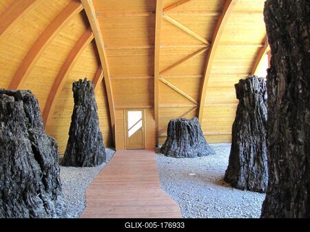 Wonders of Nature - Ipolytarnóc - 7 million yera old tree trunks-stock-foto