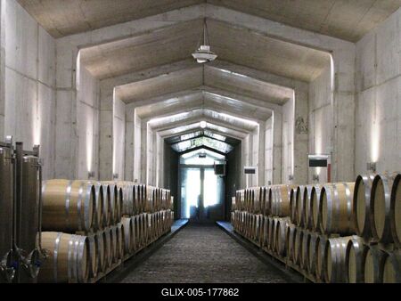 Pálinka barrels - Somló Hill Destillery - Hungary-stock-foto