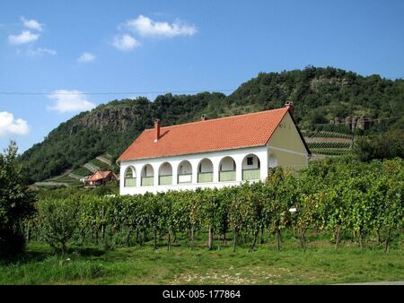 Somló Hill - Vineyards and a press house - Hungary-stock-foto
