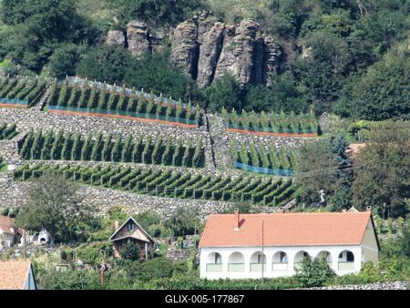 Somló Hill - Hungary - Vineyards and a press house-stock-foto