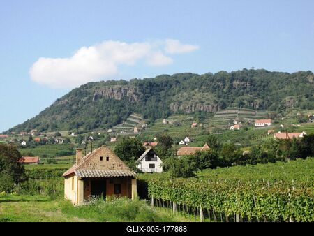 Vineyards -.Somló Hill - Hungary-stock-foto