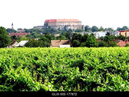 Siklós landscape with the castle and vineyards - Hungary-stock-foto