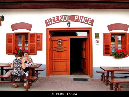 Guests in a Villány wine cellar - Hungary-stock-foto