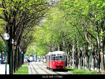 Trmaway in Vienna - Austria - Transport - Spring-stock-foto