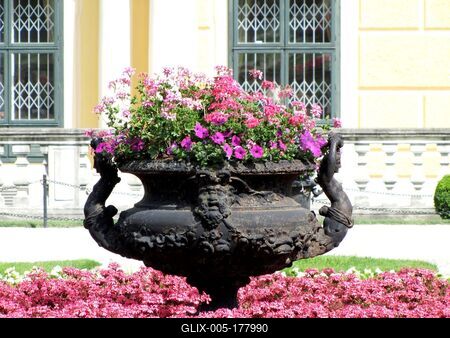Old vase with flowers - Schönbrunn - Vienna - Austria-stock-foto