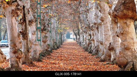 The promenade of Kossuth Lajos street - Kiskunfélegyháza - Hungary-stock-foto