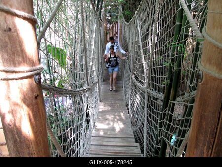 Visitors on a rope bridge in the palm house of the Nyíregyháza Zoo - Hungary-stock-foto