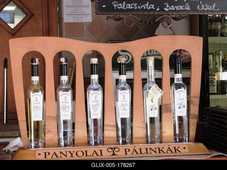 Hungarian brandies - Nyíregyháza-stock-foto