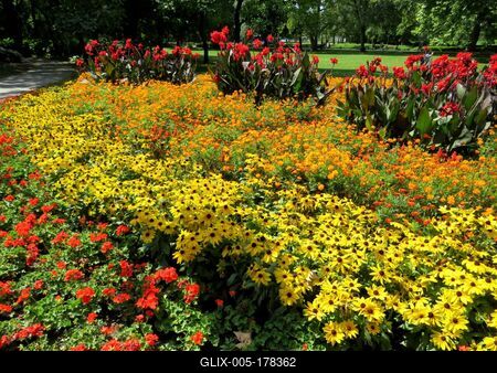 Flowers on Margaret Island - Budapest - Nature-stock-foto