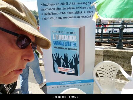 Man watching "The Birth of a Democratic Economy" book at the Budapest Book Festival.-stock-foto