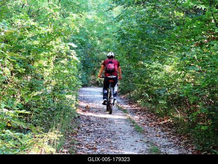 Nature leaning into Autumn - Forest - Hungary-stock-foto