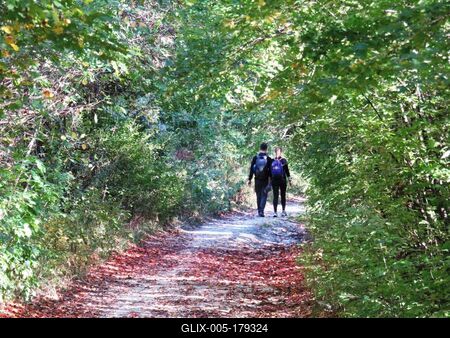 Nature leaning into Autumn - Forest - Hiking couple-stock-foto