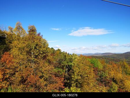 Autumn colors on János Hill - Budapest - Nature-stock-foto
