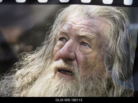 Harry Potter - Dumbledore - Richard Harris-stock-foto